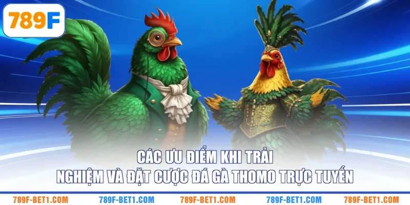 Các ưu điểm khi trải nghiệm và đặt cược đá gà Thomo trực tuyến
