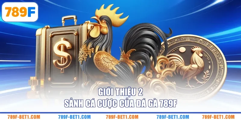 Giới thiệu 2 sảnh cá cược của đá gà 789F