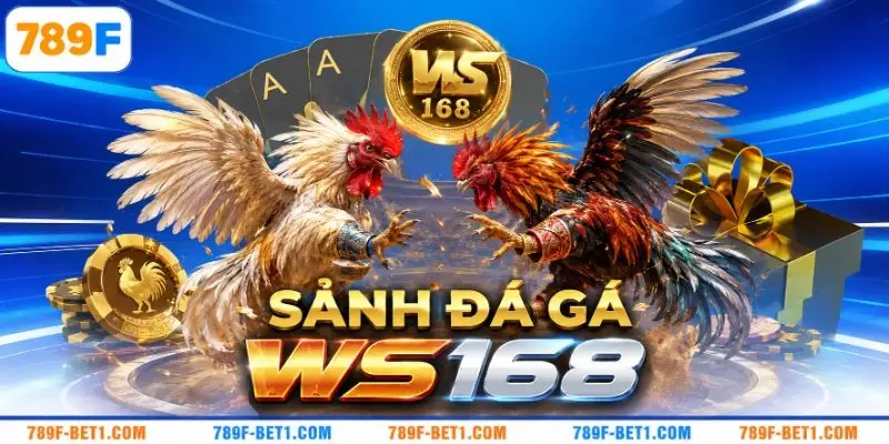 Sảnh đá gà WS168